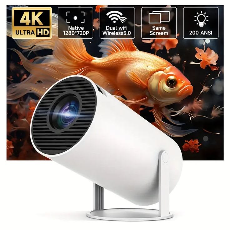 Smart Home & Entertainment